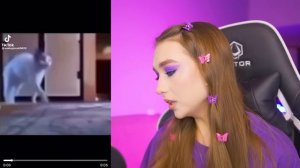 РЕАКЦИЯ на ТИК-ТОК от МИЛС КЕЛА ? ПОПРОБУЙ не ЗАСМЕЯТЬСЯ