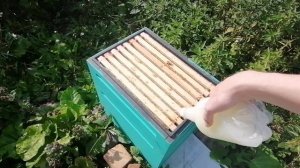 Молочная сыворотка для пчел