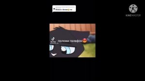 Коты воители из тик тока Бич