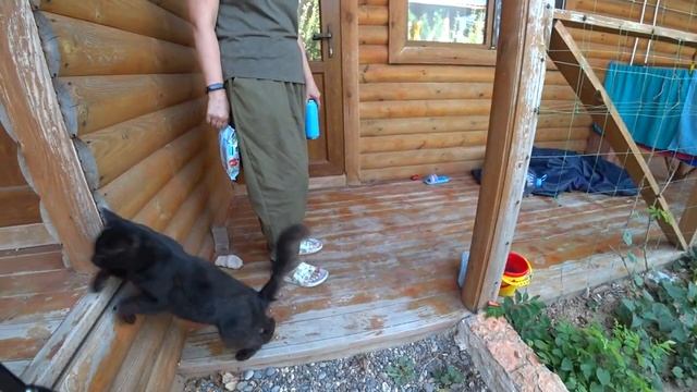 Кисуляны на отдыхе с Ксюшей и Степой... смотреть онлайн