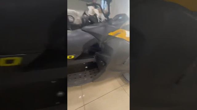 ЭлектроСнегоход Тикси смотреть онлайн