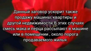 заговор на мак для хорошей торговли