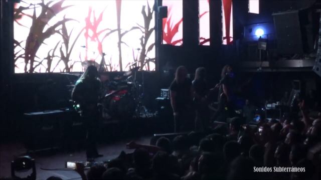 Angra en Chile, marzo 2023 смотреть онлайн