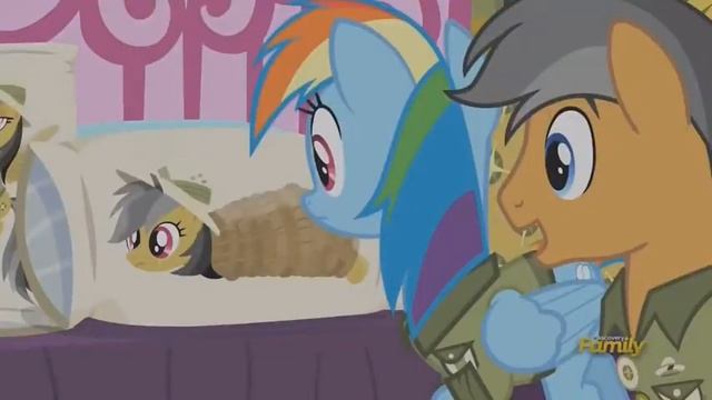 Анатомия брони. (the brony anatomy) смотреть онлайн