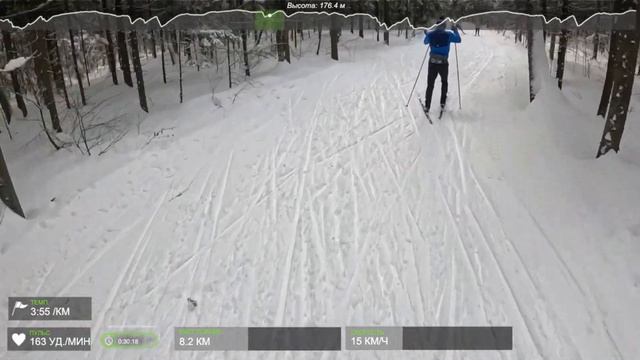 Красногорский лыжный марафон 18.02.2024 смотреть онлайн
