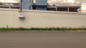 Поездка на автобусе 911 от Метро Саларьево до Аэропорта Внуково и до метро Саларьево