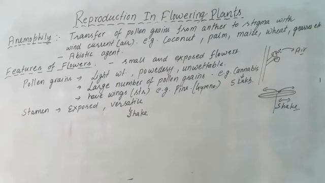 12 Biology | Reproduction In Flowering Plants | Part-10 | Anemophily- Air Pollination смотреть онлайн