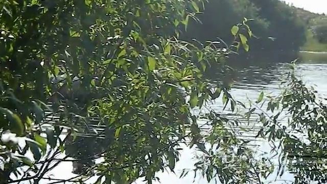 LUGA - ADVENTURES смотреть онлайн