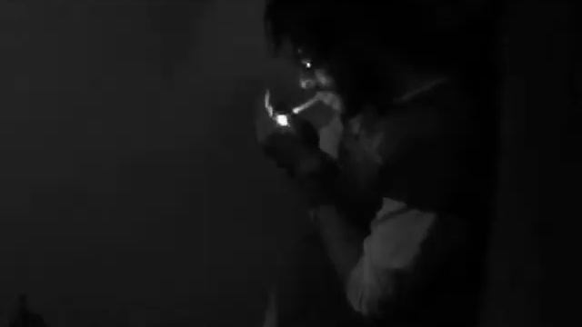 Porpous - Shit Cat смотреть онлайн