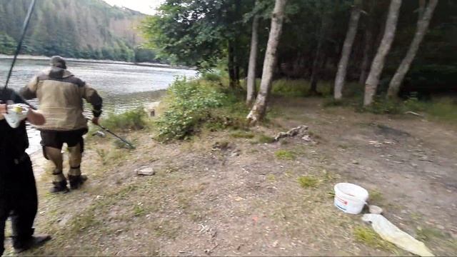 Бешенный клёв рыбы в ЛЮКСЕМБУРГЕ #БеларусьDeutschland#ПоздниеПереселенцы смотреть онлайн