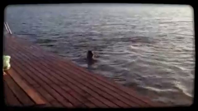 08.08.14 Ольшаники  (Created With @Magisto)