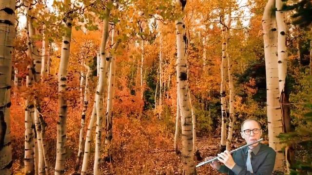 Air-Johann Sébastien Bach- Cover Flûte traversière смотреть онлайн