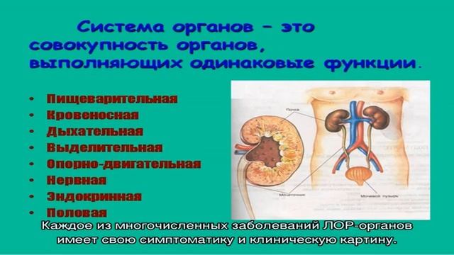 Болезни уха, горла, носа смотреть онлайн