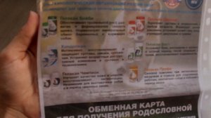 Купили щенка, первый день дома