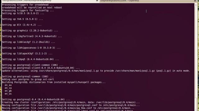 How to run OpenERP 5.0.10 on Ubuntu 10.04 in less than 5 minutes. смотреть онлайн