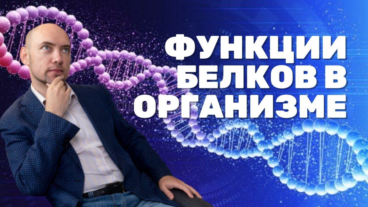 Каковы функции белков в организме? Душкин объяснит смотреть онлайн