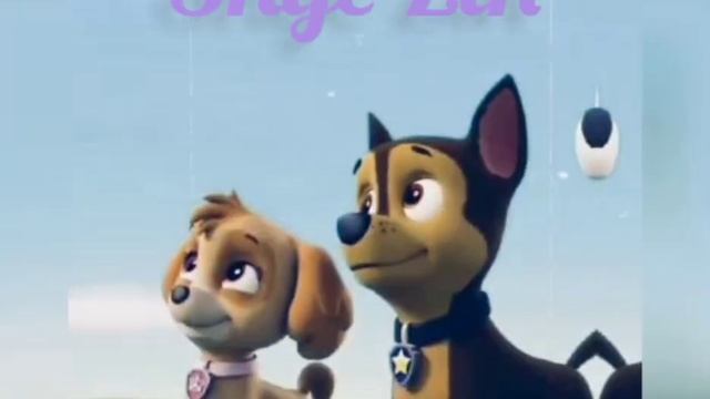 ?Скай и Гонщик ?(Молния)~Для канала база хулиганов~?Chase x Skye? смотреть онлайн