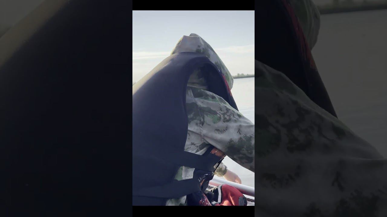 Первый Горбач юного рыбака #fishing #рыбалканасевере #carpfishing #carp #нарыбалку #палатка #карп смотреть онлайн