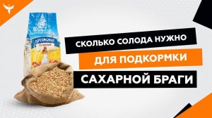 Сколько солода нужно для подкормки сахарной браги