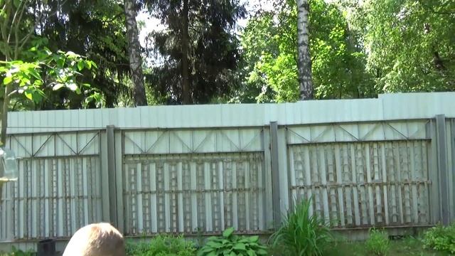 Играем На Даче Взрываем Водяные Бомбочки Кто Победил ? смотреть онлайн