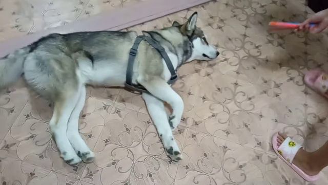 3 Маркер челендж😁 с глазиком Алмазиком 😀 смотреть онлайн