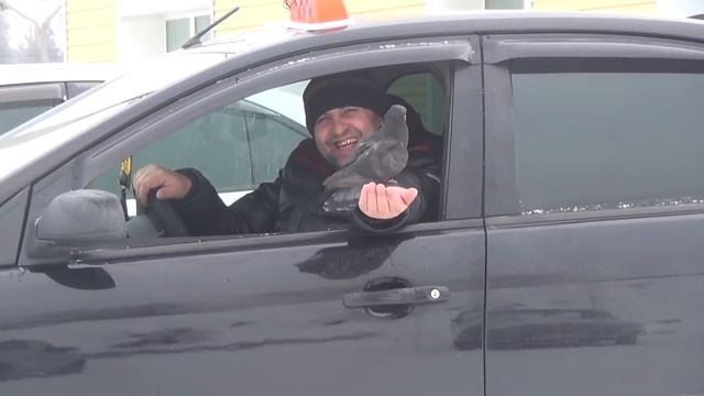 Добрый таксист смотреть онлайн