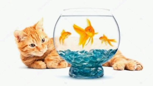 КАРАСИК Николай Носов смотреть онлайн