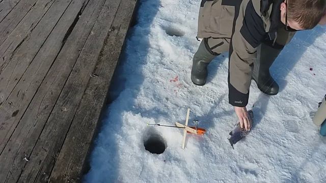 Зимняя рыбалка на форель смотреть онлайн