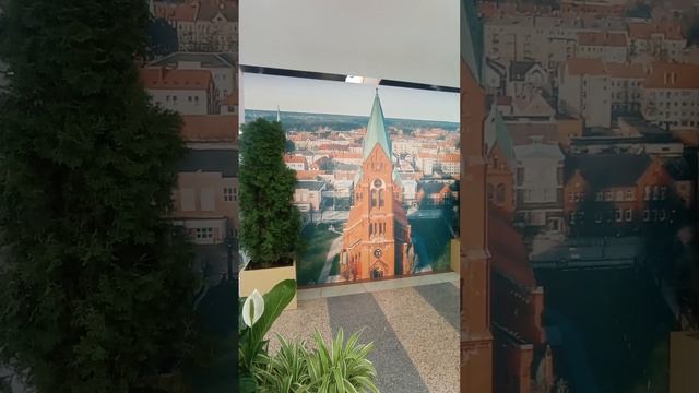 Калининград на выставке МЖК представлен красиво оригинально ярко #клипернедвижимость #МЖК #Таранцов смотреть онлайн