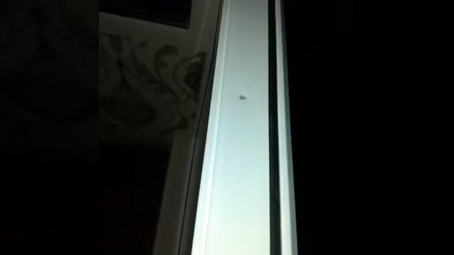 Генеральная уборка,после ремонта. смотреть онлайн