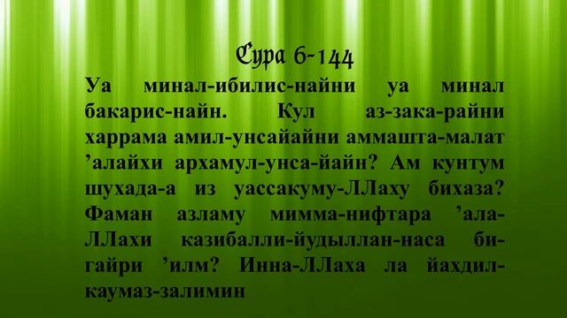 Матка - Лечение Сурами Священного Корана смотреть онлайн