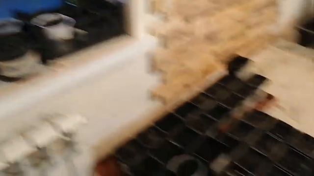 Пальмы: Трахикарпус, Хамеропс, Вашингтония, Сабаль минор, Финики. Выращивание из семян. смотреть онлайн