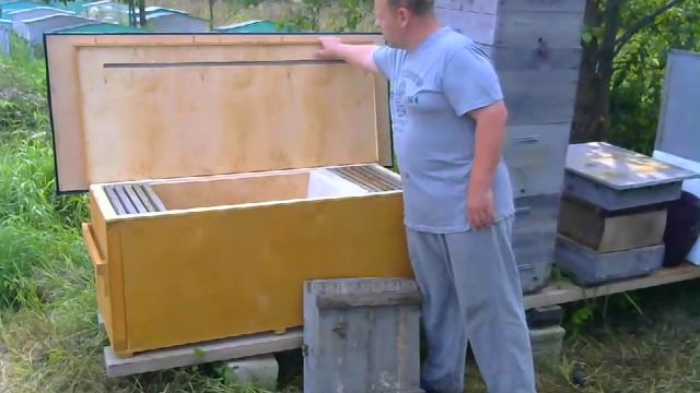 Сравнение дадановский и владимирский улей. Корпуса. смотреть онлайн