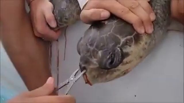 Результаты моря мусором ... смотреть онлайн