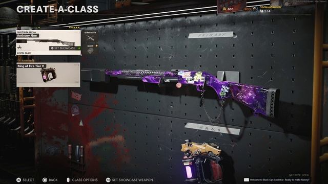 The BEST Loadouts for EVERY Cold War Zombies Easter Egg! [Updated 2023] смотреть онлайн