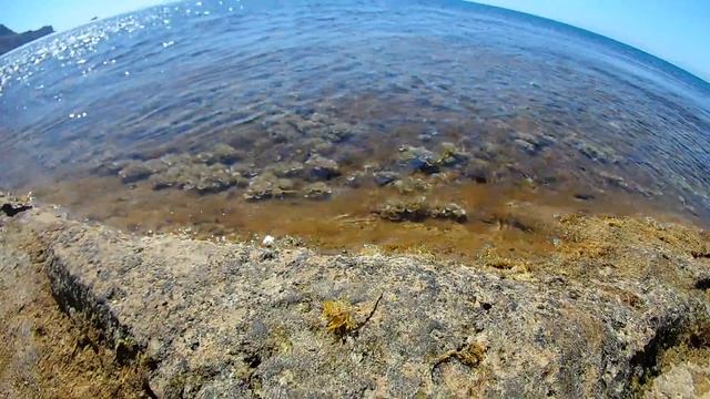 Eken H9 Funny seagull (Смешная чайка) смотреть онлайн