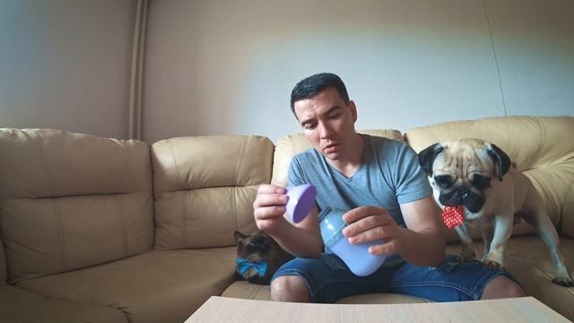 Жажда у собак. Нужна ли вода собаке на прогулке? Из чего поить собаку во время прогулки | sir mops смотреть онлайн