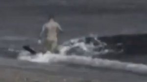Страшное видео Акула напала на человека прямо на берегу