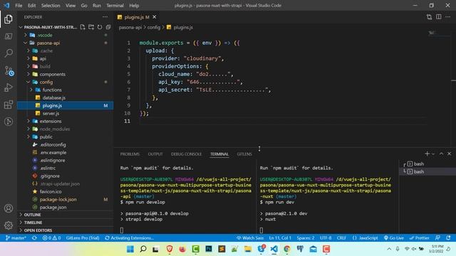 Pasona Vuejs - Local Installation смотреть онлайн
