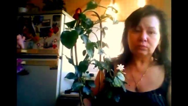 ЖАСМИН , ПРИШЛА ВЕСНА смотреть онлайн