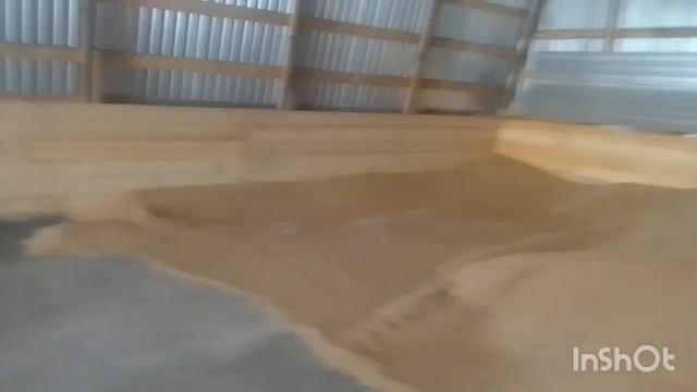 Переделанная овс 25. готовим семена. Ремонтирую сеялки. Продаем сзс 2,1.!!!