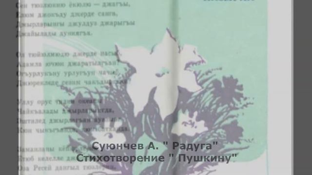 Читаем Пушкина на языках народов КЧР смотреть онлайн
