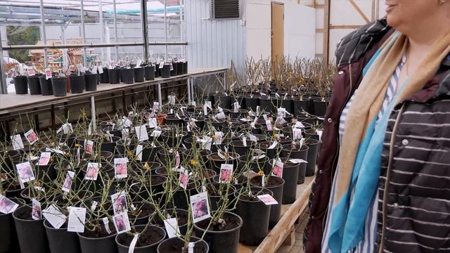 Открытие сезона с 1 апреля 2021 года_ Садовый центр в Никитском_.mp4 смотреть онлайн