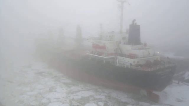 Морской канал (Канонерский остров) //// смотреть онлайн