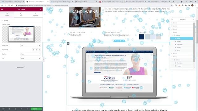 Add Falling Snow To Your Website (Elementor Tutorial) смотреть онлайн