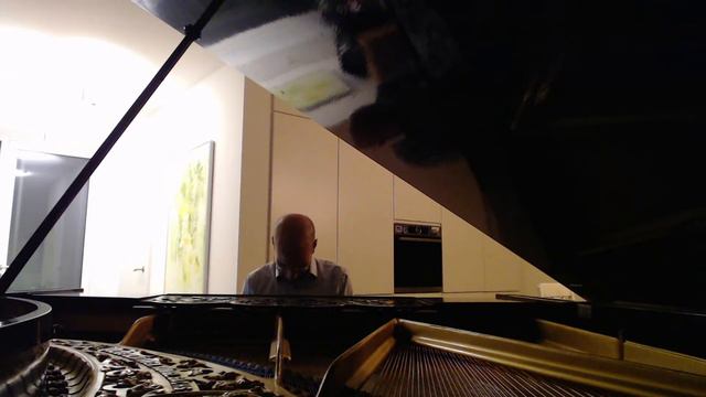 #218 of 10.000 Blüthner Grand Piano Pieces смотреть онлайн