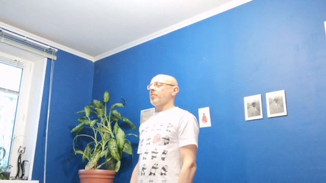 Цигун "Поддерживание Луны" (обзор книги "Искусство цигун", Вон Кью-Кит). смотреть онлайн