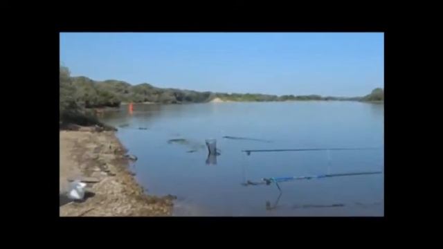 РЫБАЛКА на ОКЕ#15.Встреча с бобром.Ловля судака и леща.2013г.