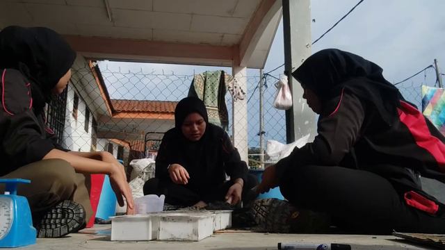 DCC50194 FINAL YEAR PROJECT 2: LATEXS AS CEMENT MODIFIER смотреть онлайн