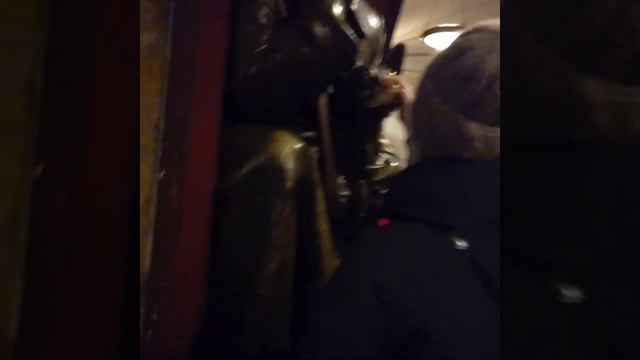 Ритуал ,Потри собаке нос на Площади революции смотреть онлайн